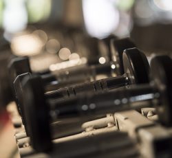 Collection of dumbbells for workout with weights. Healthy concept.